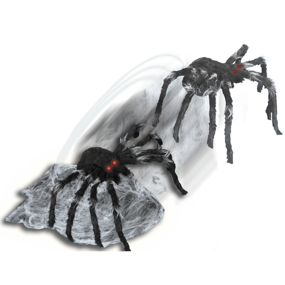 Black Jumping Spider™