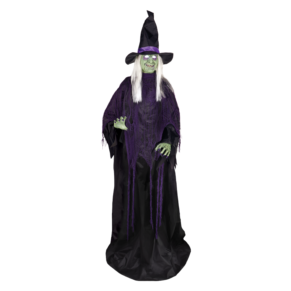 Animated LED Witch™