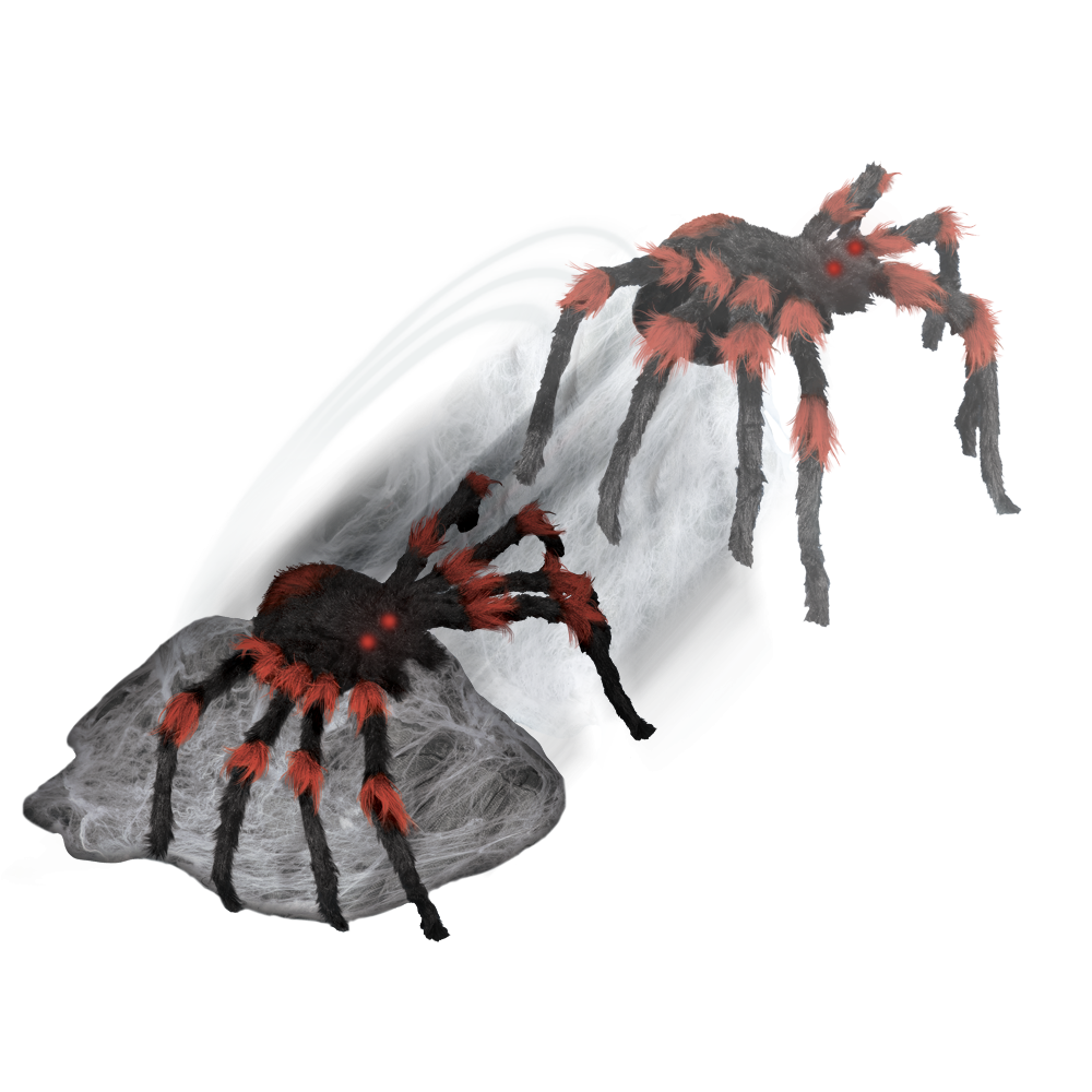 Black & Red Jumping Spider™