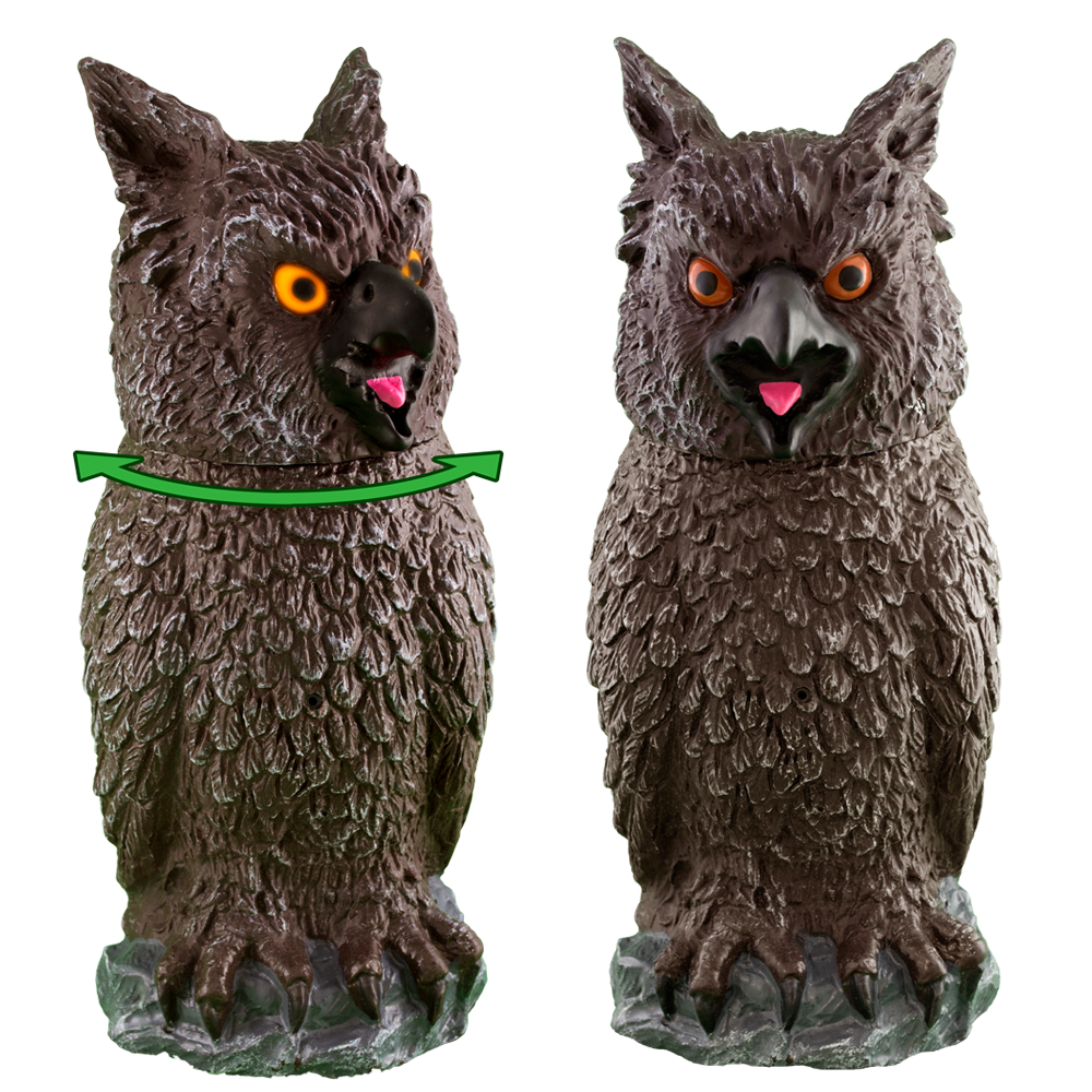 Scary Creatures Owl™