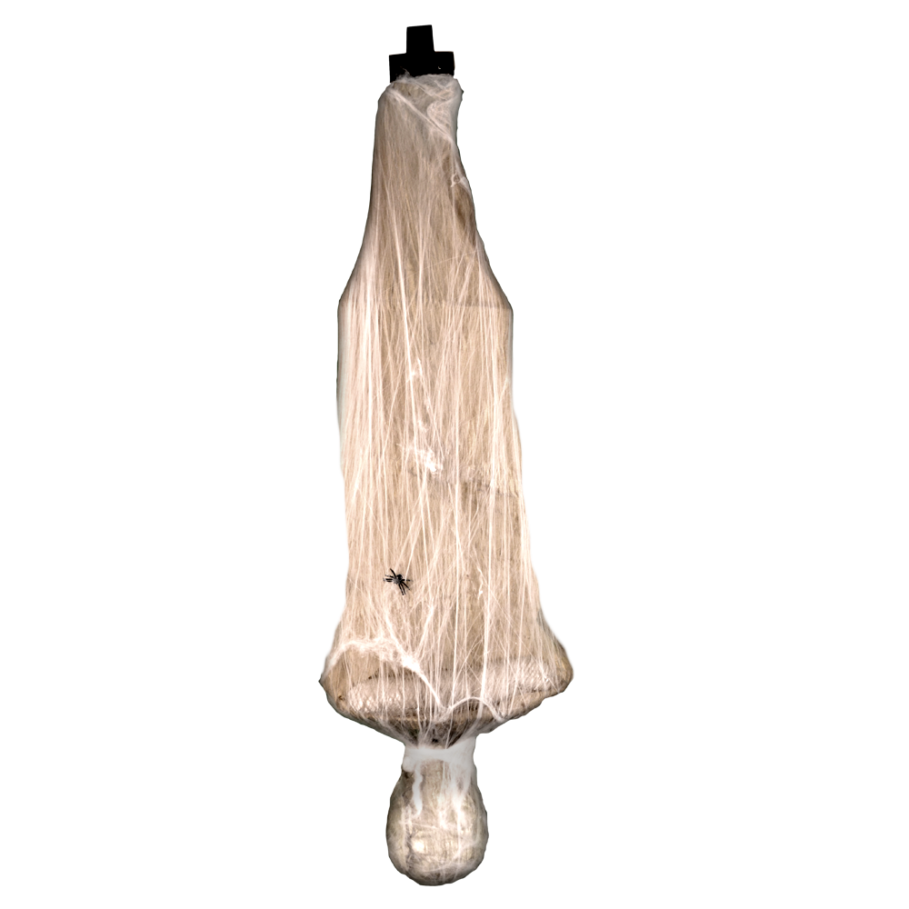 Spider Web Mummy™