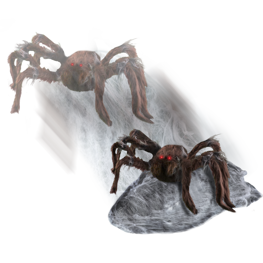 Brown Jumping Spider™